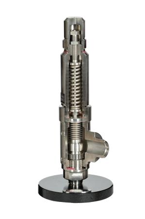 Safety valve 3-5161 BW